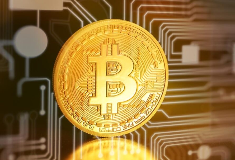 Bitcoin se stává novým standardem. Jak si vedou ostatní kryptoměny?